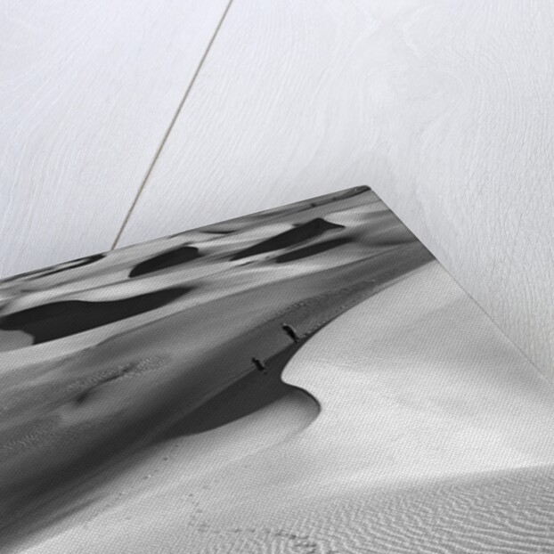 Footprints on Desert Dunes by Anonymous