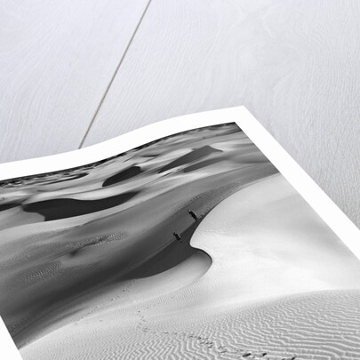 Footprints on Desert Dunes by Anonymous