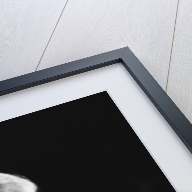 Boy Reading Comics by Anonymous