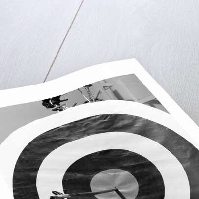 Archery Target With Arrow in the Bull's Eye by Anonymous