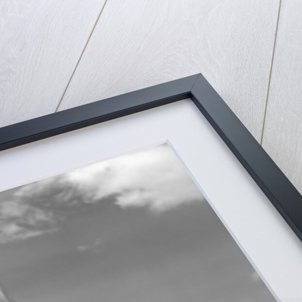 World Trade Center Under Construction by Anonymous