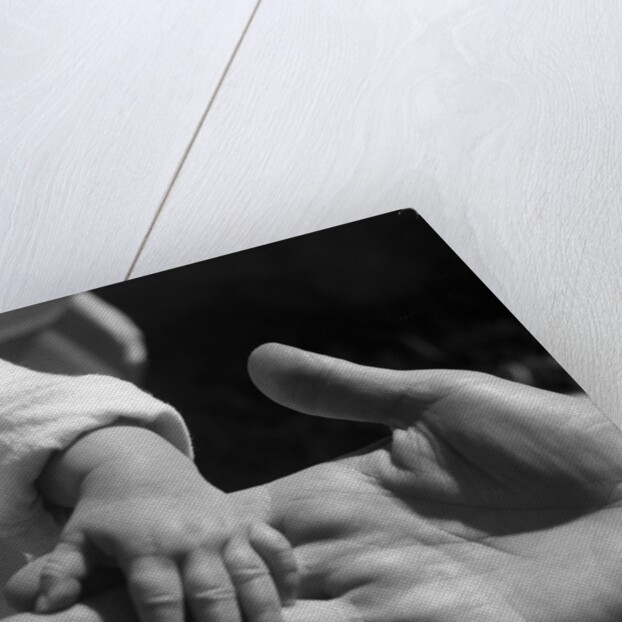 Infant's Hand in Man's Hand by Anonymous
