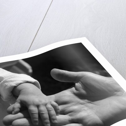 Infant's Hand in Man's Hand by Anonymous