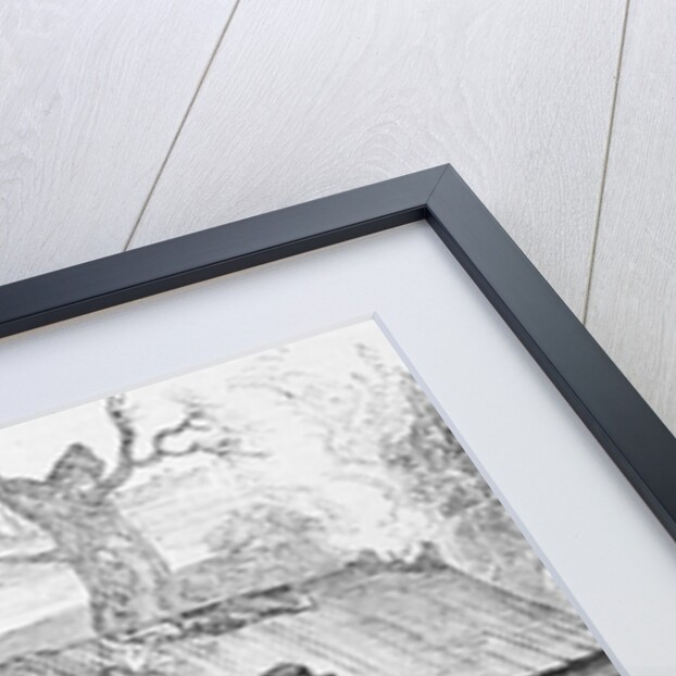 Fur Trapper's Log Cabin In Canada by Anonymous