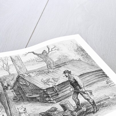 Fur Trapper's Log Cabin In Canada by Anonymous