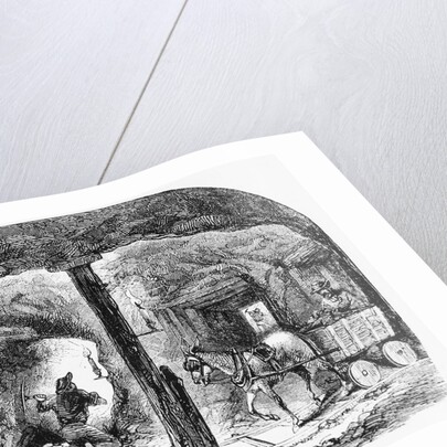 Mule Pulls Cart Thru Ca Gold Mine: Illus by Anonymous