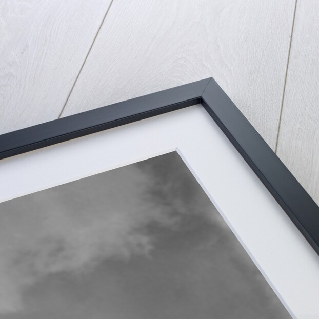 Lincoln Memorial In Washington, Dc by Anonymous