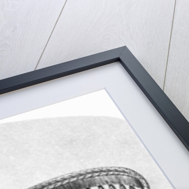 Victorian Drawing Room Chair by Anonymous