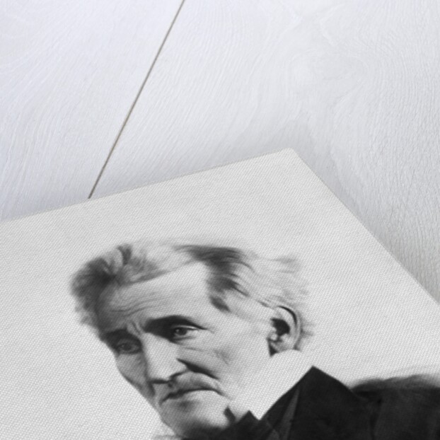 Portrait of Andrew Jackson by Anonymous