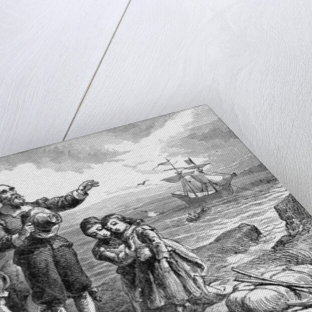 Illustration of the Landing of The Pilgrims by Anonymous