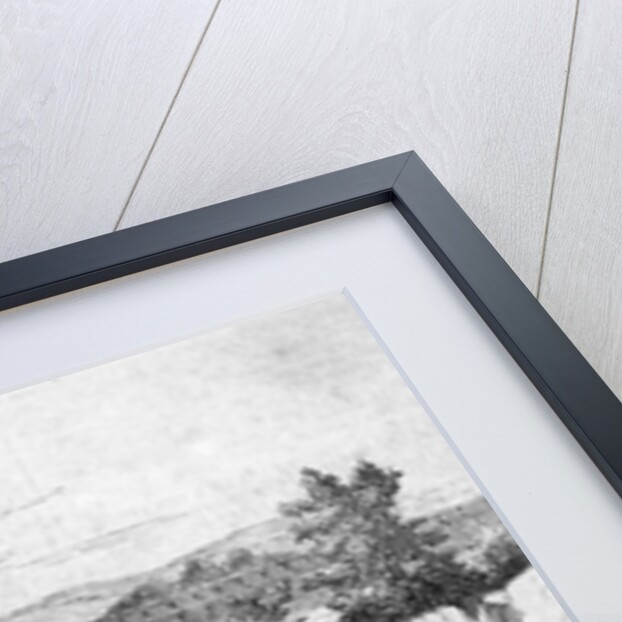 Mormons Western Track by Anonymous