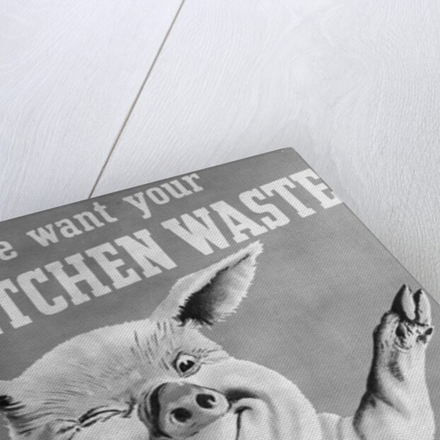 We Want Your Kitchen Waste Poster by Anonymous