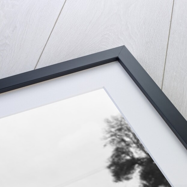 Universal Studios' Western Movie Set by Anonymous