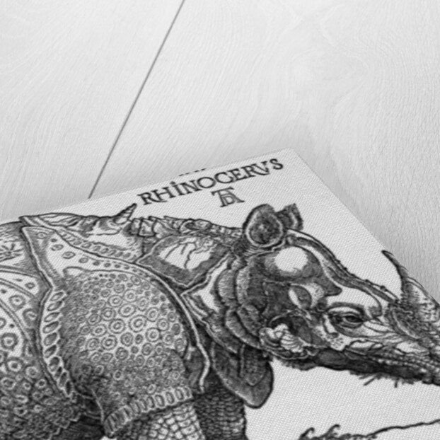 Rhinoceros by Albrecht Dürer