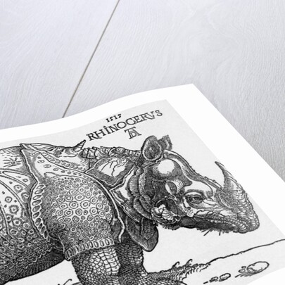 Rhinoceros by Albrecht Dürer