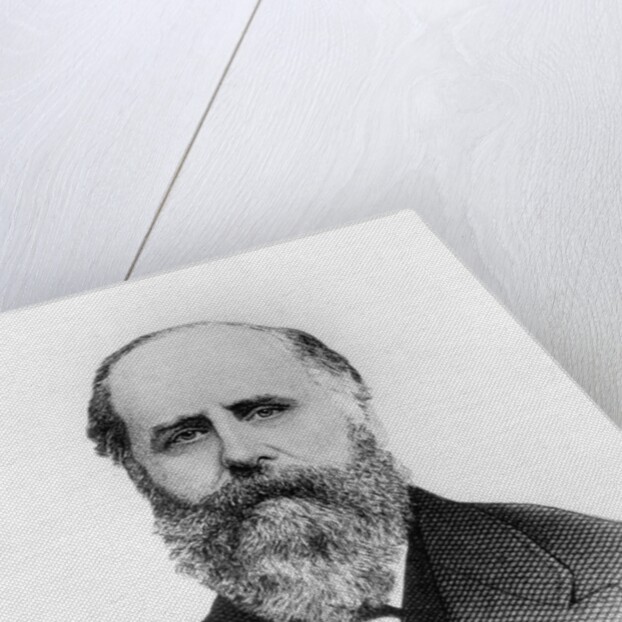 Head And Shoulder Of R.H. Macy by Anonymous