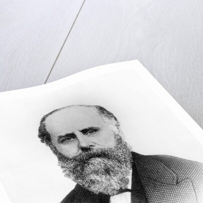 Head And Shoulder Of R.H. Macy by Anonymous