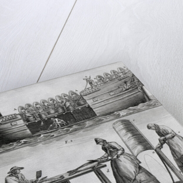 Three Panels Of Fish Industry In 1770 by Anonymous