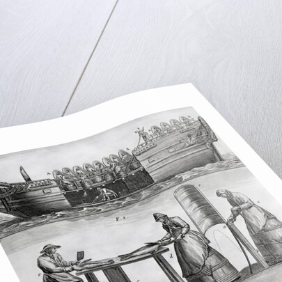 Three Panels Of Fish Industry In 1770 by Anonymous