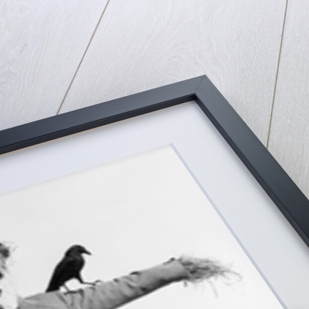 Scarecrow with Crow on His Shoulder by Anonymous
