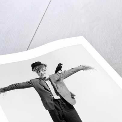 Scarecrow with Crow on His Shoulder by Anonymous
