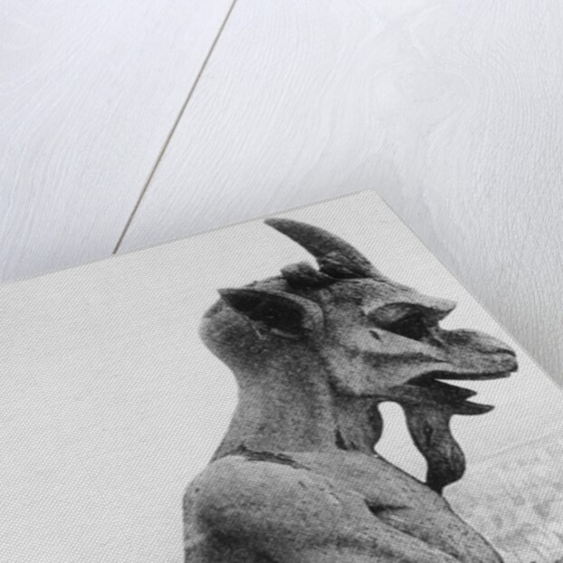 Gargoyle on Notre Dame Cathedral by Anonymous