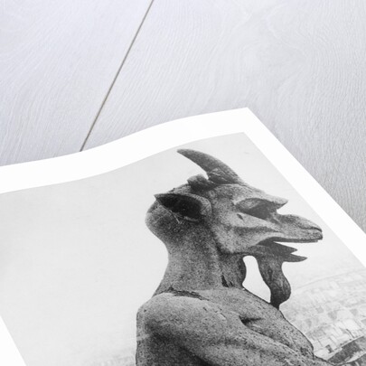 Gargoyle on Notre Dame Cathedral by Anonymous