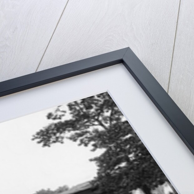 Avery Coonley House; Designed By Wright by Anonymous