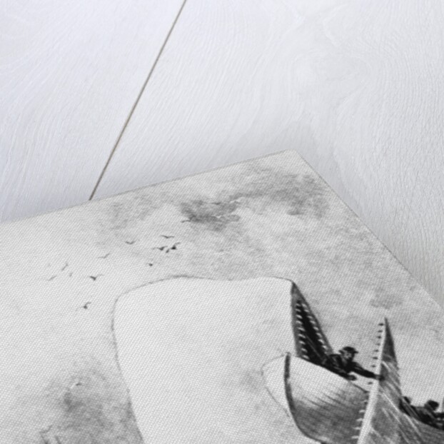 Illustration of the White Whale by A. Burnham Shute