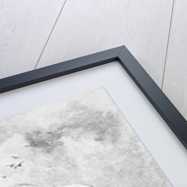 Illustration of the White Whale by A. Burnham Shute