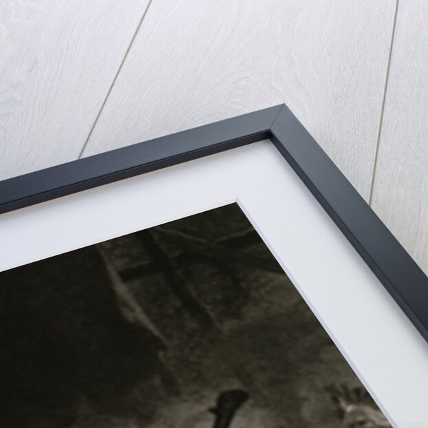 Pocahontas Saving Captain John Smith by Anonymous