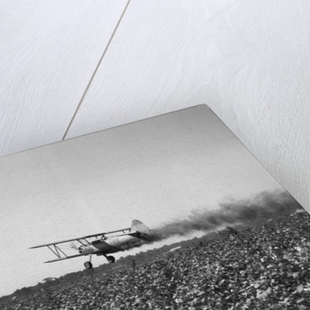 Crop Dusting Plane Flies Over Field by Anonymous