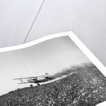 Crop Dusting Plane Flies Over Field by Anonymous