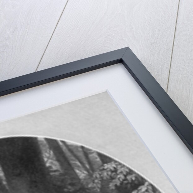 Portrait of Princess Pocahontas by Anonymous