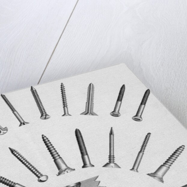 Various Screws Arranged Radially by Anonymous