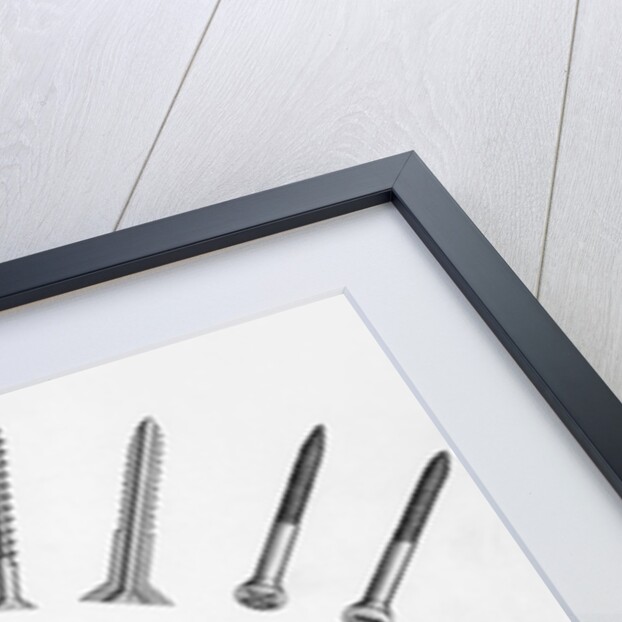 Various Screws Arranged Radially by Anonymous