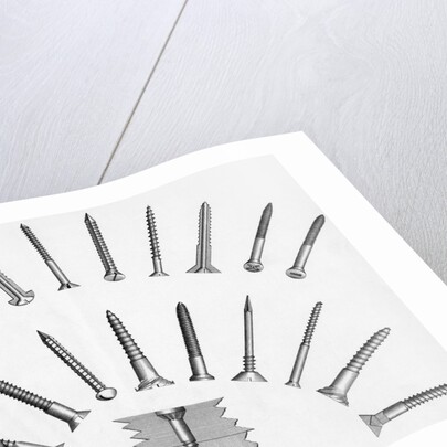 Various Screws Arranged Radially by Anonymous