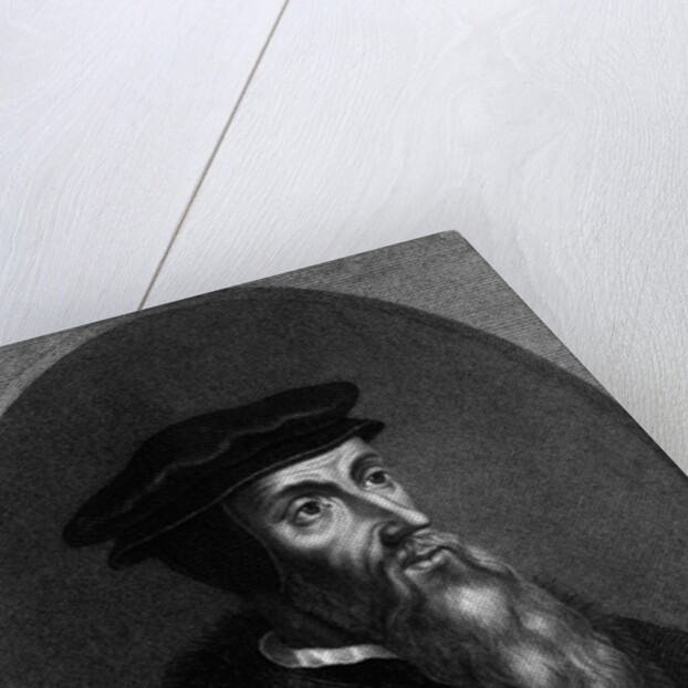 John Calvin In Undated Engraving by Anonymous