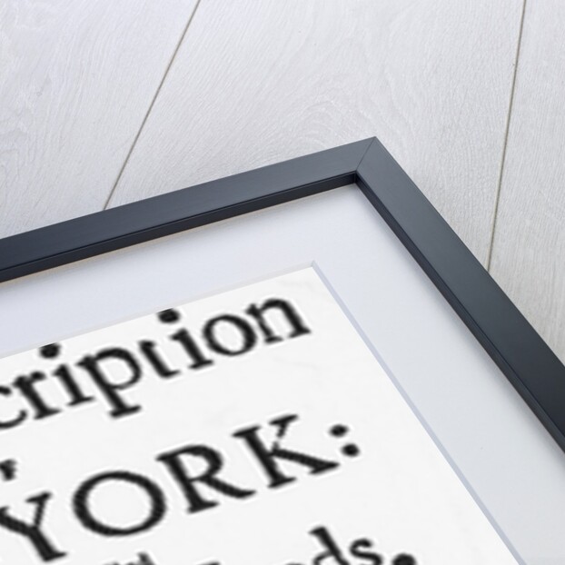 Title Page For Brief Description Of Ny by Anonymous