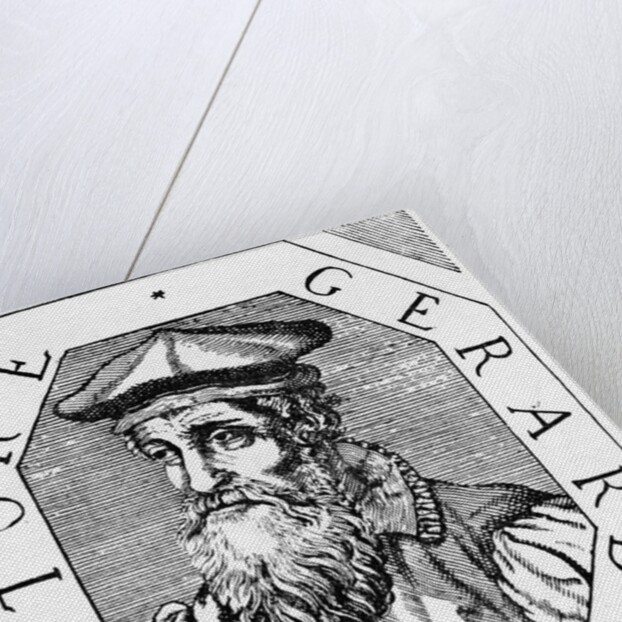 Flemish Geographer Gerhardus Mercator by Anonymous