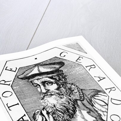 Flemish Geographer Gerhardus Mercator by Anonymous