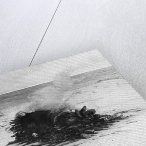 The Funeral Of Poet Shelley by Anonymous