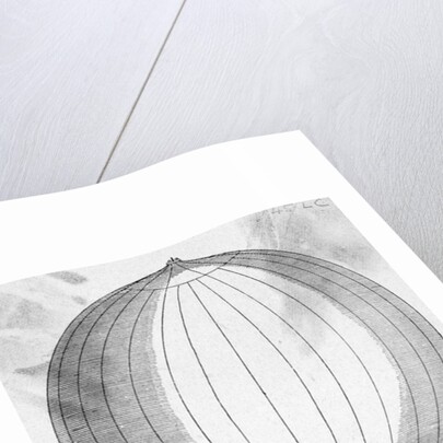 Filling Hydrogen Balloon In Paris by Anonymous