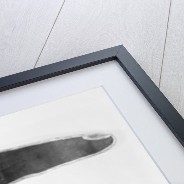 Hand Shaped Sign Advertising for a Midwife by Anonymous