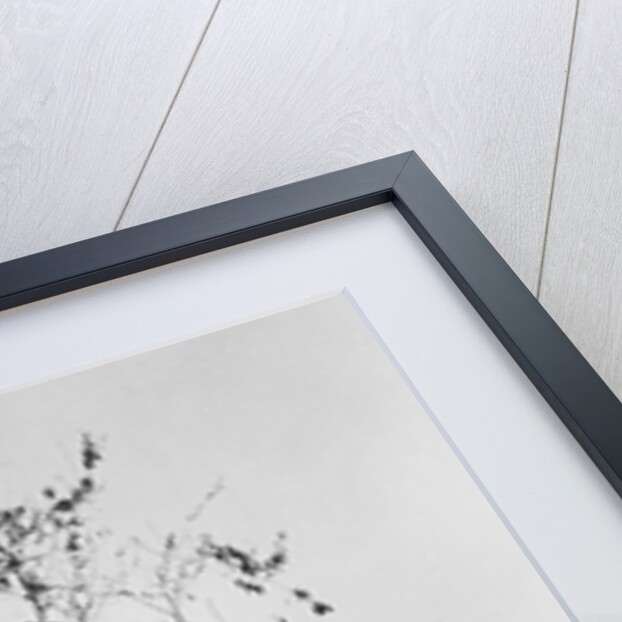 Outhouse On A Farm by Anonymous