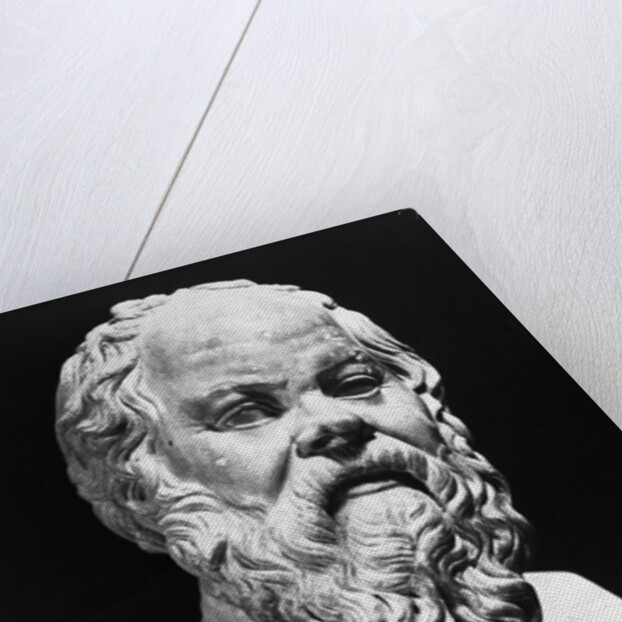 Portrait Bust Of Socrates by Anonymous