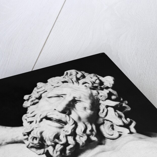 Detail of the Head of Laocoon from The Laocoon Group by Anonymous