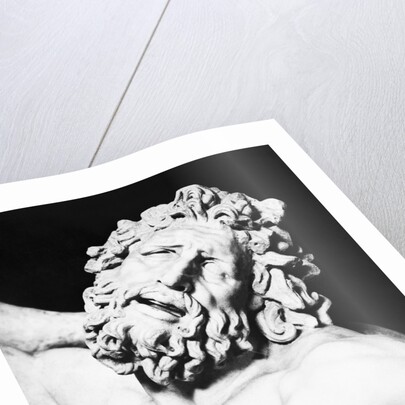 Detail of the Head of Laocoon from The Laocoon Group by Anonymous