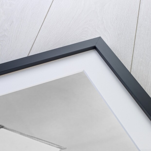 Praxinoscope Projector and Images by Anonymous