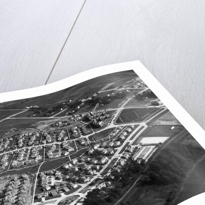 Aerial View Of Housing Development by Anonymous
